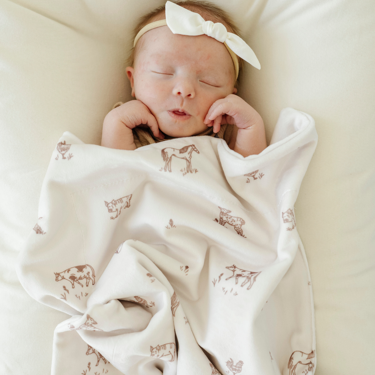 MINKY STRETCH MINI BLANKETS