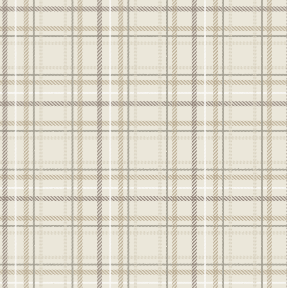 Plaid Minky Stretch Print